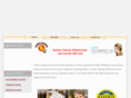 santaclaritaelectrician.net