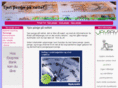 netpenge.com