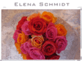 elenaschmidt.com