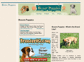 boxers-puppies.com