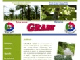 association-grabe.fr