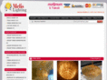 melislighting.com