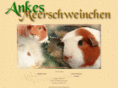 ankesmeerschweinchen.de