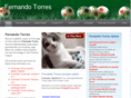 fernando-torres.com