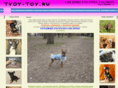 tvoy-toy.ru