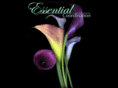essentialcoordination.com