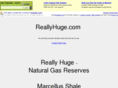 reallyhuge.com