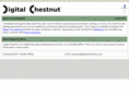 digitalchestnut.com