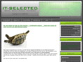 it-selected.com