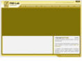 fsdlab.com