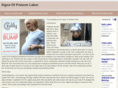 signsofpretermlabor.com