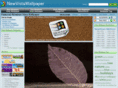 newvistawallpaper.com