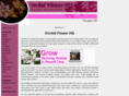 orchidflowerhq.com