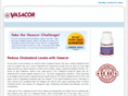 vasacor.biz