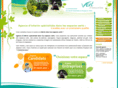 vert-interim.com