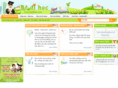bedihoc.com