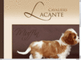 lacante.pl