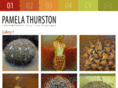 pamelathurston.com