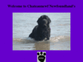 chateaunewf.co.uk