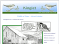 kinglet.org