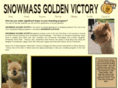 snowmassgoldenvictory.com