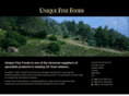 unique-foods.co.uk