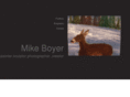 mikeboyerart.com