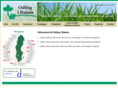 odlingibalans.com
