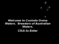 cooindaorana.com