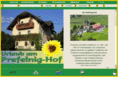 prefelnig.at