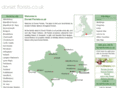 dorset-florists.co.uk