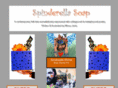 spinderellasoap.com