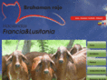 haciendasfranciaylusitania.com