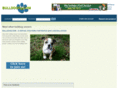 bulldogs.com
