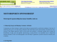 motorsports-sponsorship.com