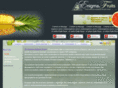 enigmafruits.com