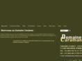 domainecaraman.com