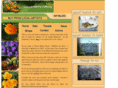 livinginmurrieta.com