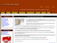 forex-trading-automatique.com