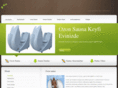 ozonsauna.net