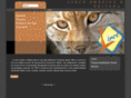 lincebr.com