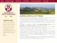 sottimano.com