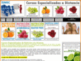 masternutricion.com