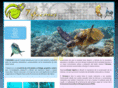7oceanos.com