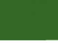 dealeronhold.com