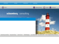 schaumburg-consulting.com