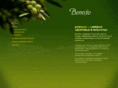 benolio.com