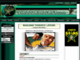virojokihockey.com