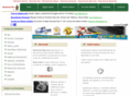 directorio-raiz.com
