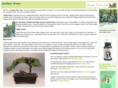 junipertrees.com